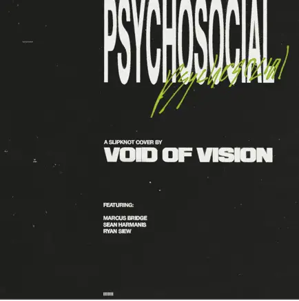 Void Of Vision : Psychosocial (Slipknot Cover)